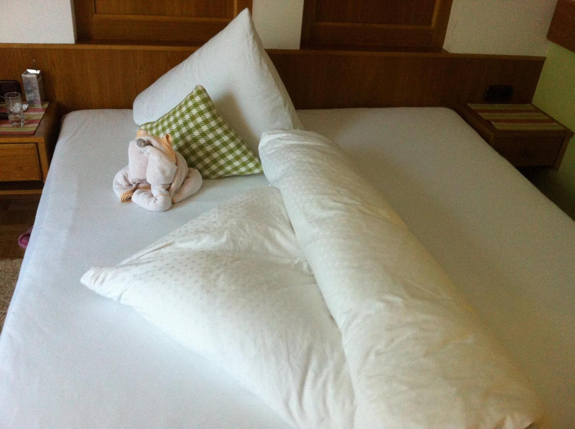 Alpin Hotel Garni Eder - Private Living Mayrhofen Pokój zdjęcie